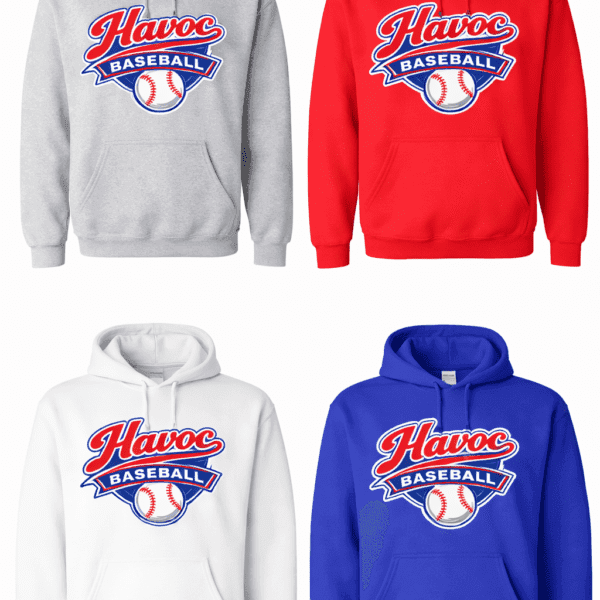 Havoc Baseball Pennant Logo Hoodie